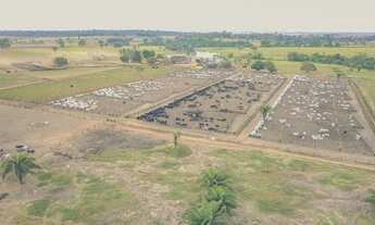 Imagem 4: Ótima fazenda dupla aptidão para venda na região de Novo Horizonte do Norte-MT, com 1.900
