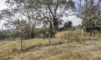 Imagem 3: Fazenda para pecuária a venda na regiao de São Carlos-SP, com 54 alqueires, rica em agua