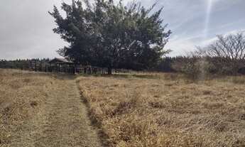 Imagem 2: Fazenda para pecuária a venda na regiao de São Carlos-SP, com 54 alqueires, rica em agua