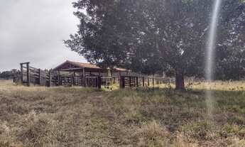Imagem 4: Fazenda para pecuária a venda na regiao de São Carlos-SP, com 54 alqueires, rica em agua