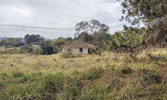 Imagem 5: Fazenda para pecuária a venda na regiao de São Carlos-SP, com 54 alqueires, rica em agua