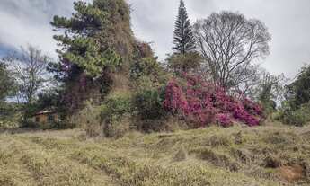 Imagem: Fazenda para pecuária a venda na regiao
