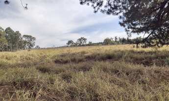 Imagem 6: Fazenda para pecuária a venda na regiao de São Carlos-SP, com 54 alqueires, rica em agua