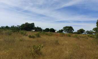Imagem 6: Fazenda dupla aptidão para venda na região de Conceição do Tocantins-TO, com 3.250 hectare