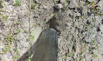 Imagem 7: Fazenda dupla aptidão para venda na região de Conceição do Tocantins-TO, com 3.250 hectare