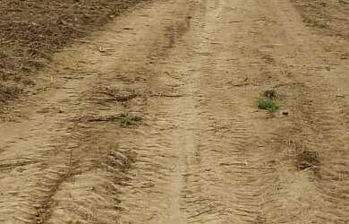 Imagem 4: Fazenda dupla aptidão para venda na região de Urucui-PI, com 12.500 hectares, roda pivô, r