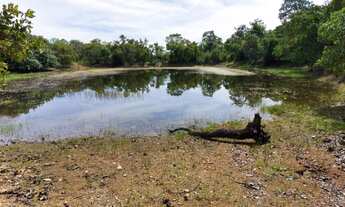 Imagem 2: Fazenda dupla aptidão para venda na região de Conceição do Tocantins-TO, com 3.250 hectare