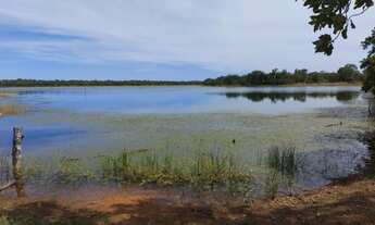 Imagem 3: Fazenda dupla aptidão para venda na região de Conceição do Tocantins-TO, com 3.250 hectare