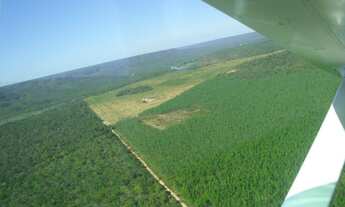 Imagem: Fazenda dupla aptidão para venda na região