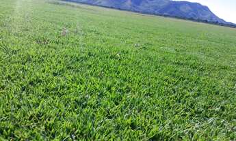 Imagem 4: Excelente fazenda para venda em Saquarema-RJ com 240 hectares, ideal para empreendimentos