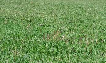 Imagem 5: Excelente fazenda para venda em Saquarema-RJ com 240 hectares, ideal para empreendimentos