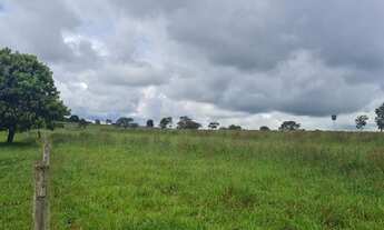 Imagem: Fazenda para venda na região de Votuporanga-SP