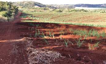 Imagem 6: Fazenda para venda na regiao de São Carlos-SP, com 74 alqueires sendo 53 em cana arrendada