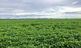 Imagem: Fazenda para venda na região de Porto Alegre
