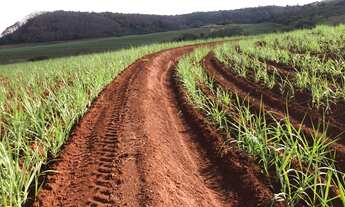 Imagem 4: Fazenda para venda na regiao de São Carlos-SP, com 74 alqueires sendo 53 em cana arrendada