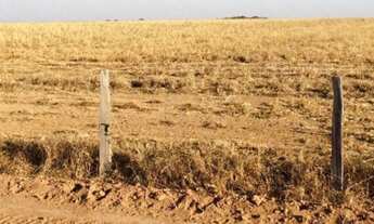 Imagem 2: Fazenda para venda na região de Porto Alegre do Norte-MT, com 39.000 hectares, produção de