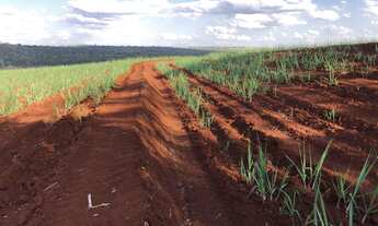 Imagem 3: Fazenda para venda na regiao de São Carlos-SP, com 74 alqueires sendo 53 em cana arrendada