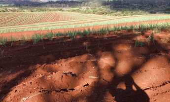 Imagem 5: Fazenda para venda na regiao de São Carlos-SP, com 74 alqueires sendo 53 em cana arrendada
