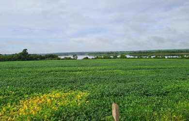 Imagem 3: Fazenda dupla aptidão para venda na região de Araguaina-TO, com 17.000 hectares sendo 11.0