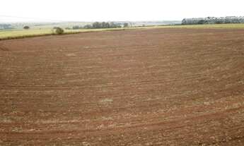 Imagem 5: Fazenda para venda na região de Catanduva-SP, com 58 alqueires sendo 30 alqueires em cana