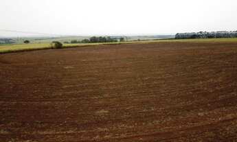 Imagem 2: Fazenda para venda na região de Catanduva-SP, com 58 alqueires sendo 30 alqueires em cana