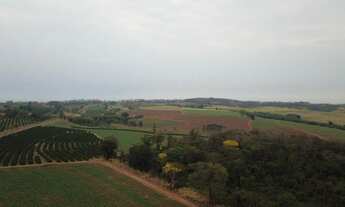 Imagem 6: Fazenda para venda na região de Catanduva-SP, com 58 alqueires sendo 30 alqueires em cana