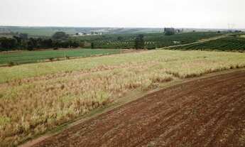Imagem: Fazenda para venda na região de Catanduva-SP