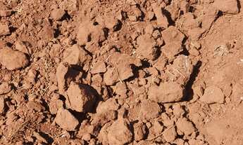 Imagem 2: Fazenda para venda na região de Ribeirão Preto-SP, com 95 alqueires, sendo 80 alqueires em