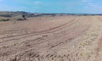 Imagem 2: Fazenda para venda na região de Piracicaba-SP, com 42 alqueires sendo 34 alqueires em cana