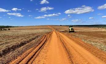 Imagem 5: Fazenda para venda na região de Bauru-SP com 330 alqueires sendo 210 alqueires em cana arr