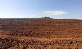 Imagem: Fazenda para venda na região de Ribeirão