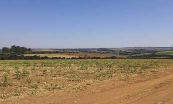 Imagem 5: Fazenda para venda na região de Vargem Grande do Sul-SP, com 50 alqueires sendo 34 alqueir