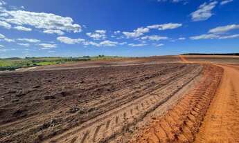 Imagem 1: Fazenda para venda na região de Bauru-SP com 330 alqueires sendo 210 alqueires em cana arr