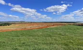 Imagem 7: Fazenda para venda na região de Bauru-SP com 330 alqueires sendo 210 alqueires em cana arr