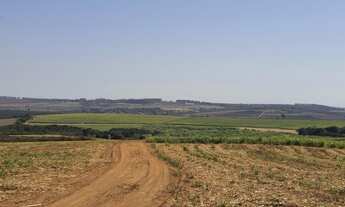 Imagem 4: Fazenda para venda na região de Vargem Grande do Sul-SP, com 50 alqueires sendo 34 alqueir