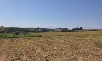 Imagem 3: Fazenda para venda na região de Vargem Grande do Sul-SP, com 50 alqueires sendo 34 alqueir