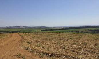 Imagem 6: Fazenda para venda na região de Vargem Grande do Sul-SP, com 50 alqueires sendo 34 alqueir