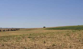 Imagem: Fazenda para venda na região de Vargem