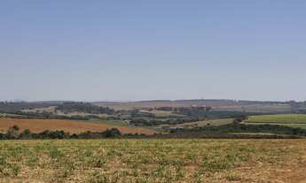 Imagem 7: Fazenda para venda na região de Vargem Grande do Sul-SP, com 50 alqueires sendo 34 alqueir