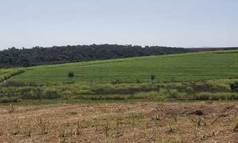 Imagem 2: Fazenda para venda na região de Vargem Grande do Sul-SP, com 50 alqueires sendo 34 alqueir