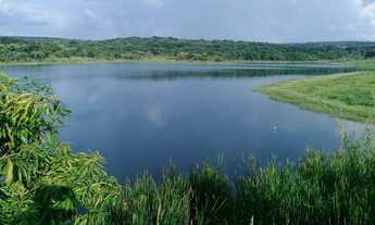 Imagem 2: Fazenda para venda na região de Bauru-SP com 330 alqueires sendo 210 alqueires em cana arr