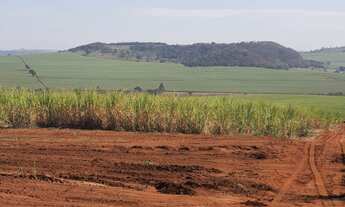 Imagem 6: Fazenda para venda na região de Ribeirão Preto-SP, com 95 alqueires, sendo 80 alqueires em