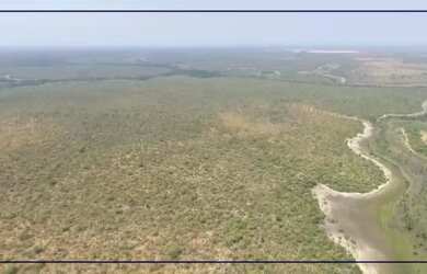 Imagem 6: Fazenda dupla aptidao para venda na região de Alvorada do Norte-GO com 505 hectares, boa d