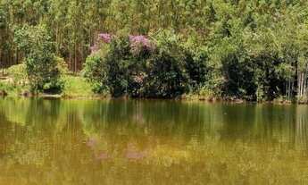 Imagem 2: Sitio para venda na região de Ribeirão Preto-SP com 23,85 alqueires, pecuária, mandioca e