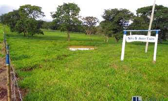 Imagem 5: Sitio para venda na região de Ribeirão Preto-SP com 23,85 alqueires, pecuária, mandioca e