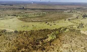 Imagem 4: Oportunidade, apenas R$ 2.466,00 / hectare. Fazenda para venda na região de Dianopolis-TO