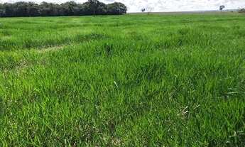 Imagem: Fazenda dupla aptidão para venda na região