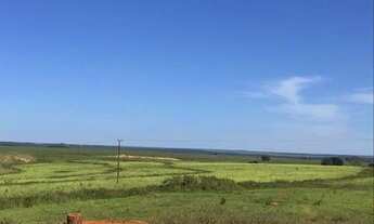 Imagem 3: Fazenda dupla aptidão para venda na região de Nova Mutum-MT com 20.100 hectares sendo 6.00