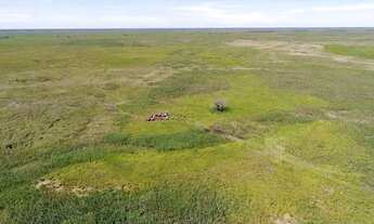 Imagem: Fazenda na pecuaria para venda no Pantanal