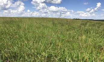 Imagem 6: Fazenda dupla aptidão para venda na região de Nova Mutum-MT com 20.100 hectares sendo 6.00